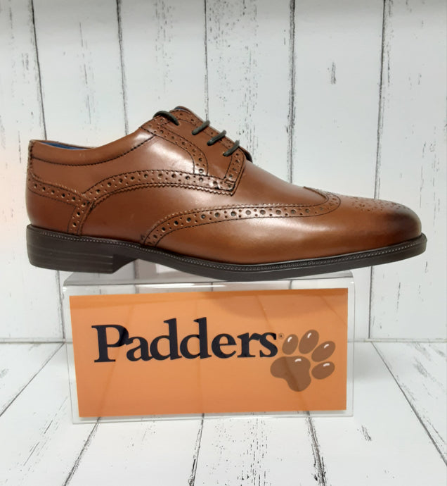 PADDERS - BERKELEY - Leather LACE UP BROGUE SHOE - Tan